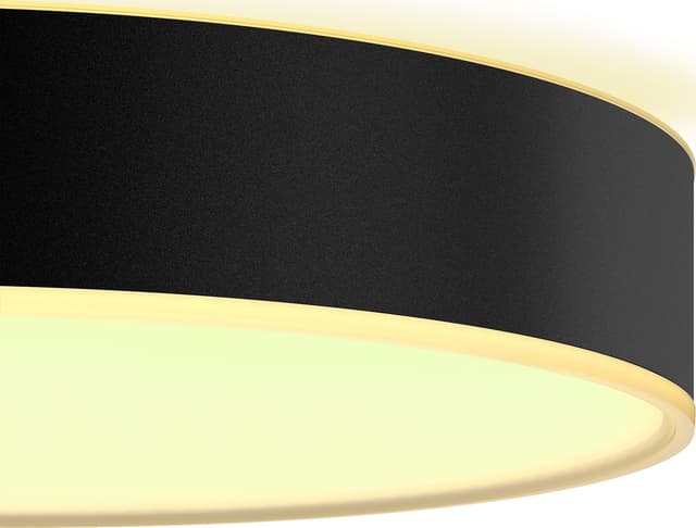 Philips Hue Enrave L loftlampe (sort)