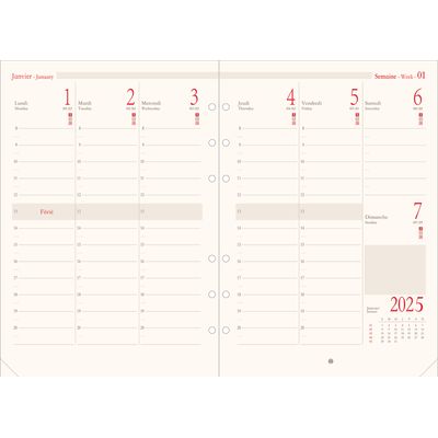 Oberthur - Recharge pour organiseur - 1 semaine sur 2 pages (semainier international) - 14,5 x 23,5 cm