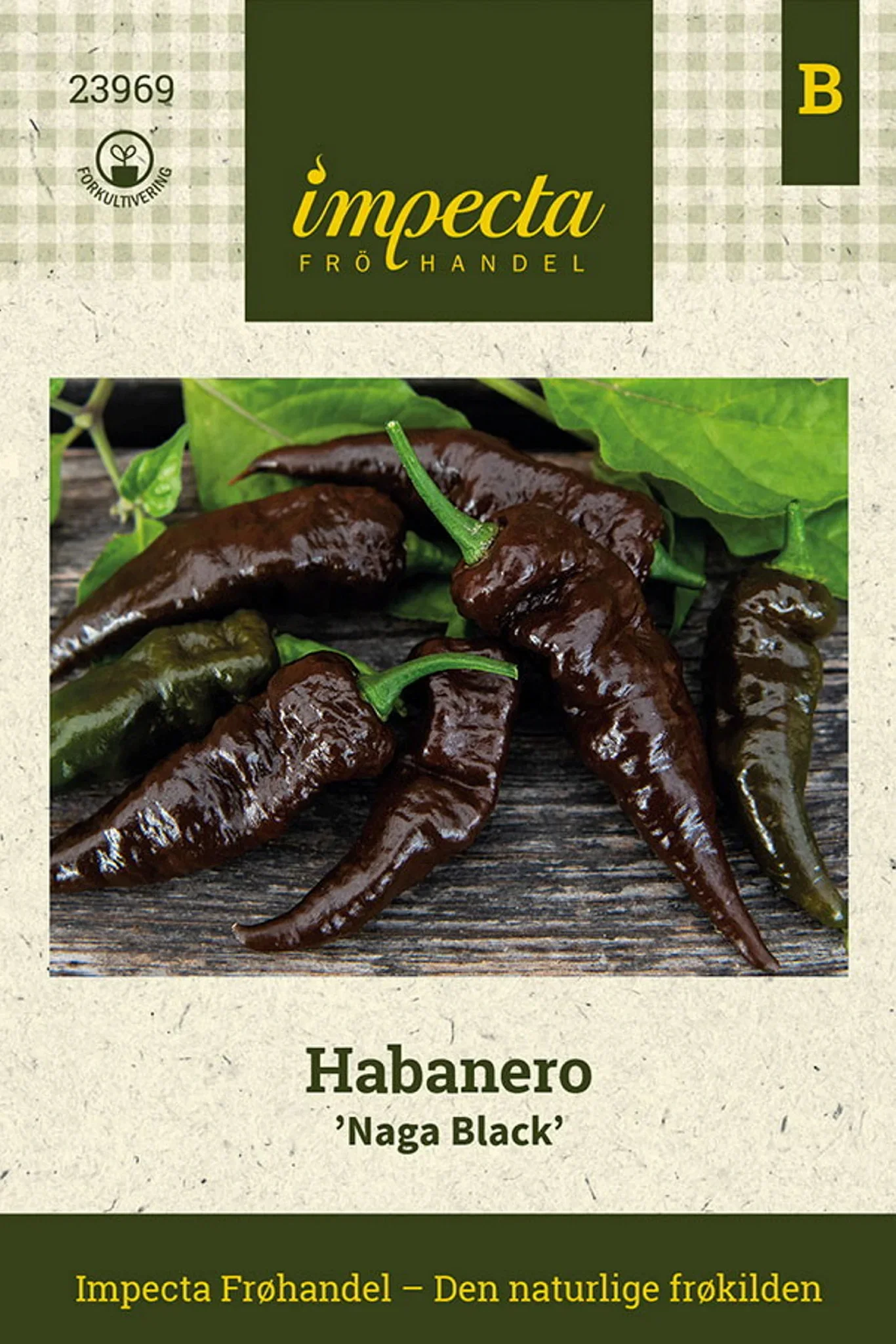 Capsicum chinense 'Naga Black' Habanero 'Naga Black'