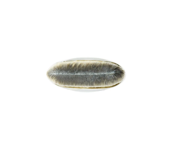 M•A•C Brushes #190 Foundation Brush