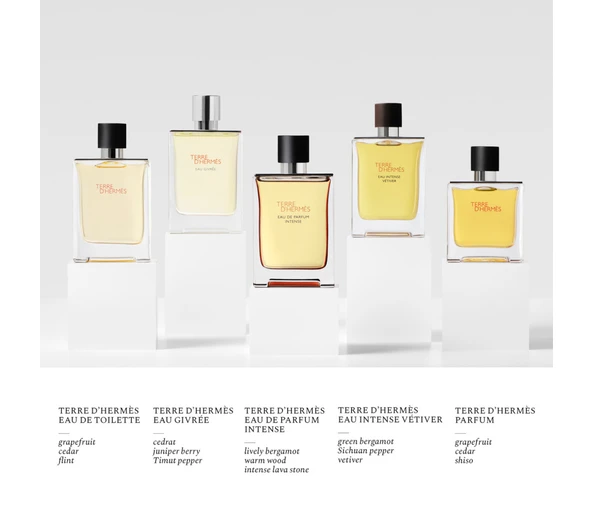 Hermès Terre d’Hermès Eau de Parfum Intense Eau de Parfum