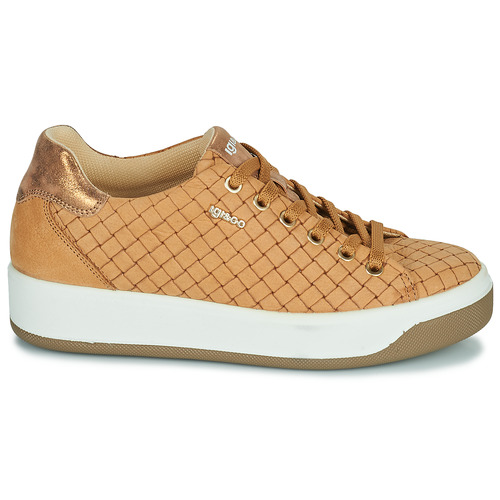 IgI&CO - 1659033 - Camel