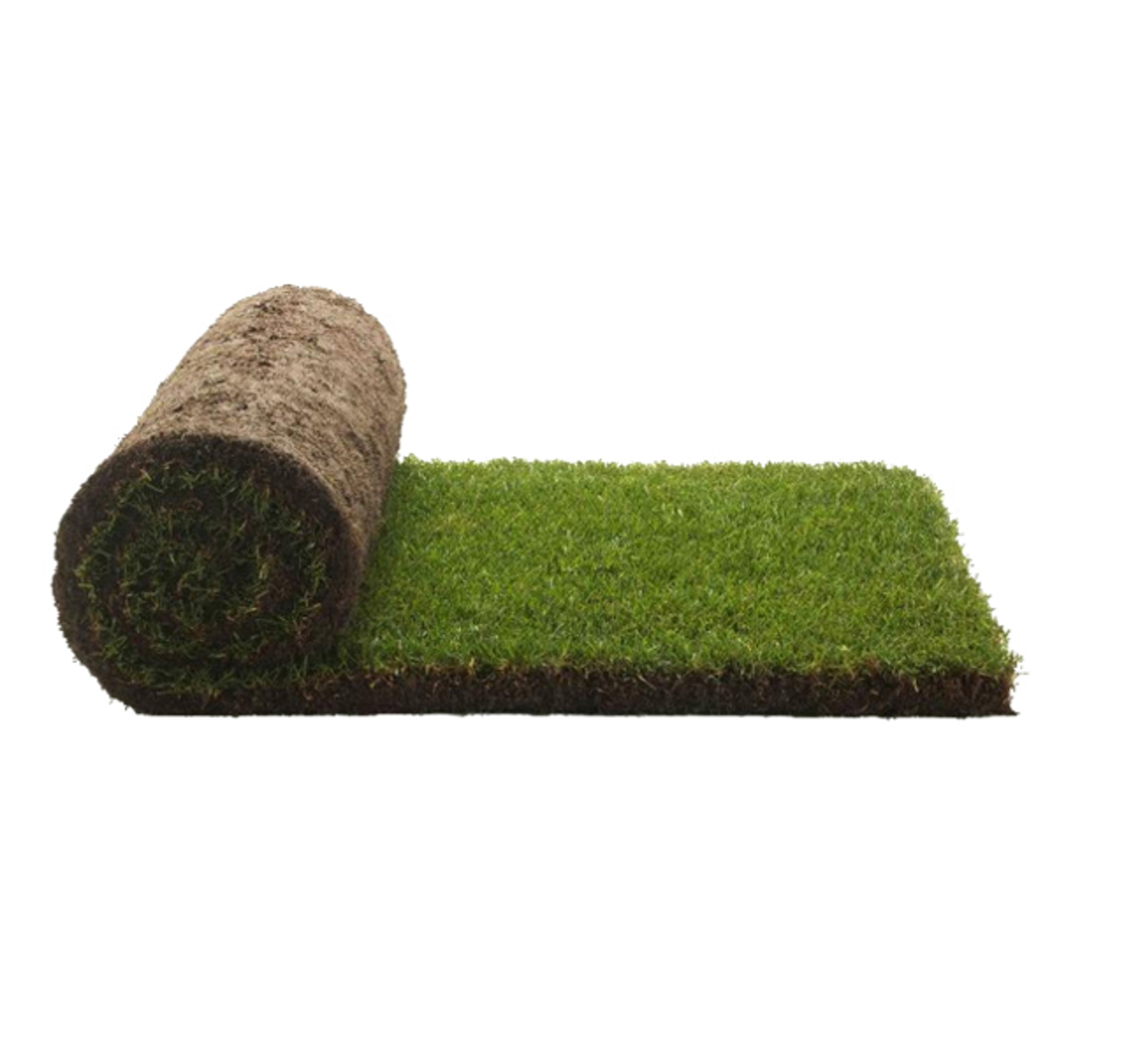 Refil Petground XL, Cama para Cães, Tapete de Treinamento, Tapete Olfativo, Grama Natural
