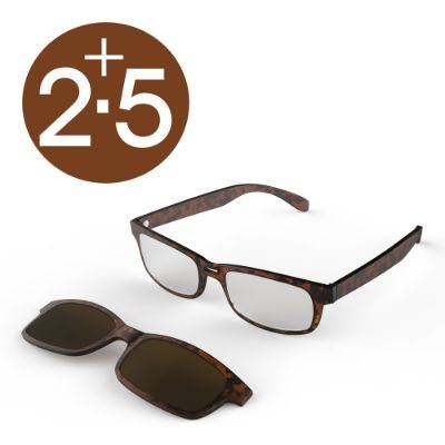 Sun Readers Tortoiseshell +2.5