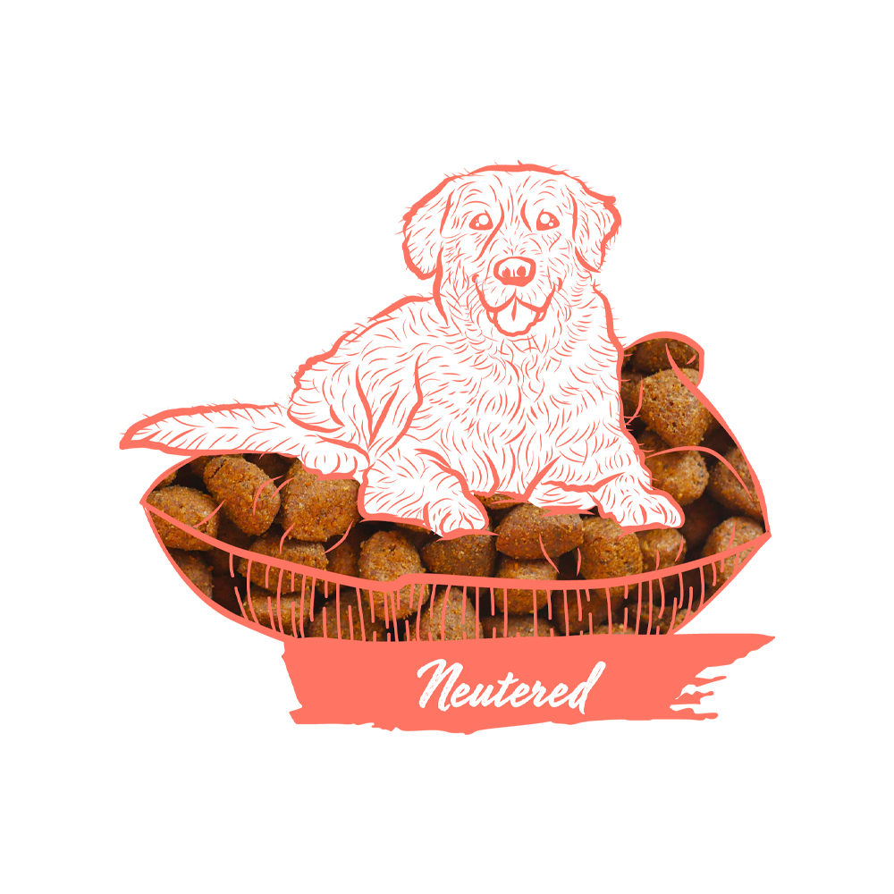 Calibra Dog Expert Nutrition Neutured