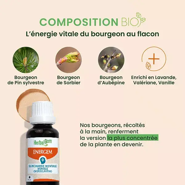 Herbalgem Energem Surcharge Mentale Bio 30 ml