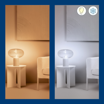 WiZ Connected LED peer E27 60W filament helder koel tot warmwit licht dimbaar