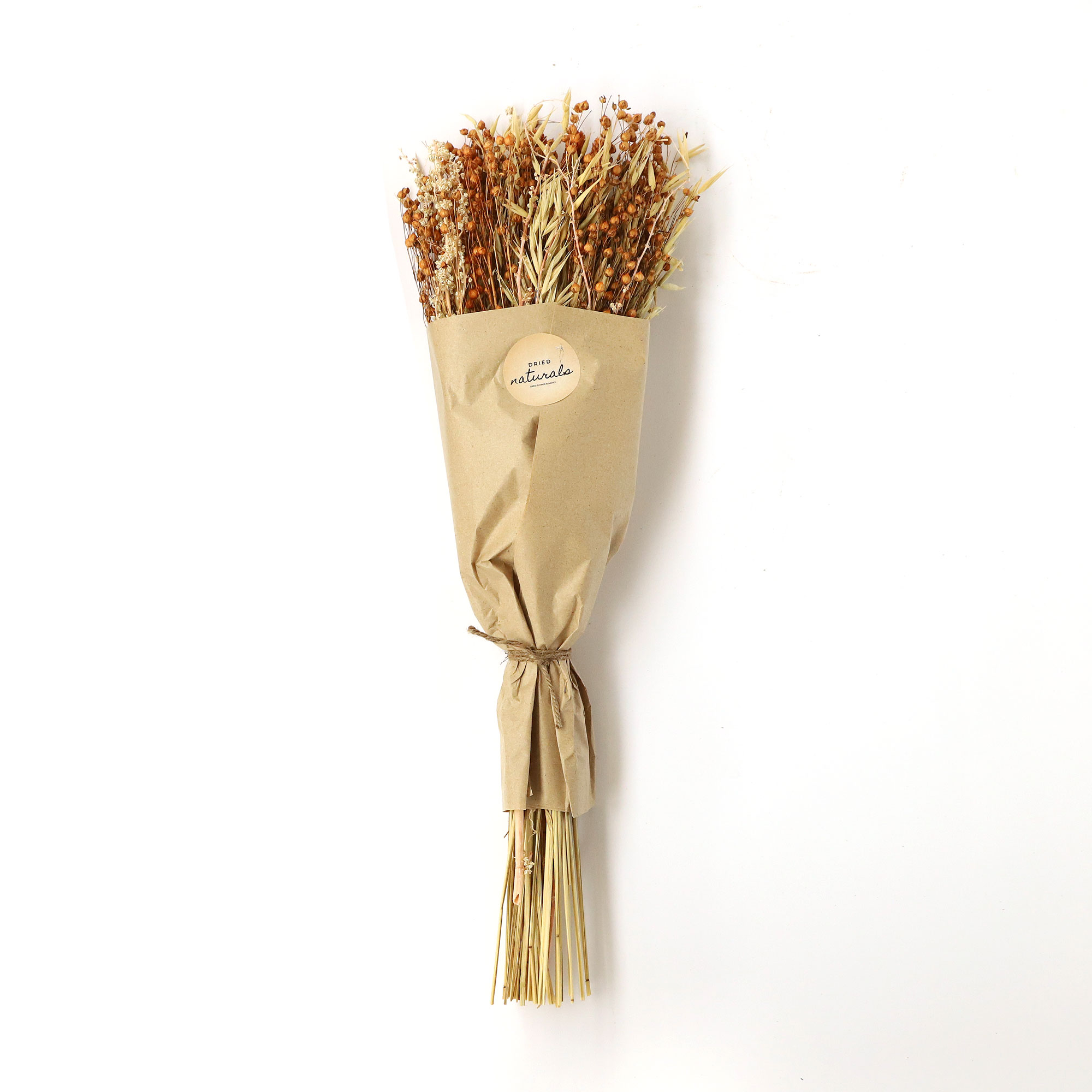 Bouquet Trockengräser-Mix, H 60 cm von fischer's lagerhaus