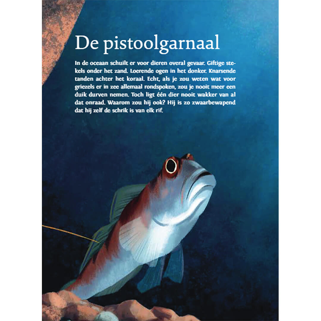 Uitgeverij querido een slijmzoen voor je oma