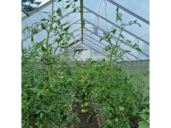 Serre de jardin en polycarbonate 290x570-640x220h FARRAND