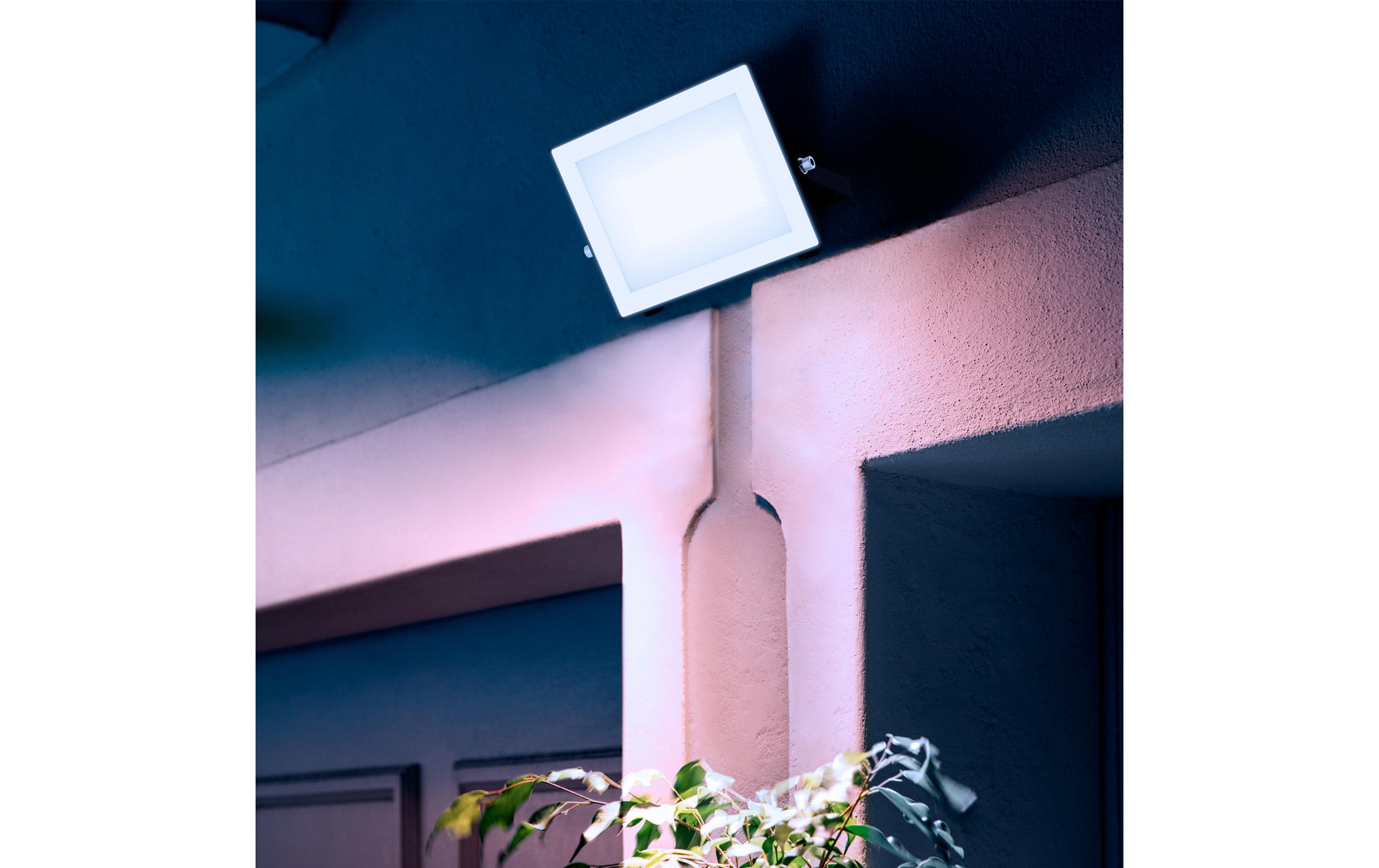 Lois Flutlicht 50W 5000K IP65 schwarz 50 WPhilips 8720169365162 Aussenbeleuchtung Wandbeleuchtung für den Aussenbereich Nicht austauschbare(s) Leuchtmittel LED F