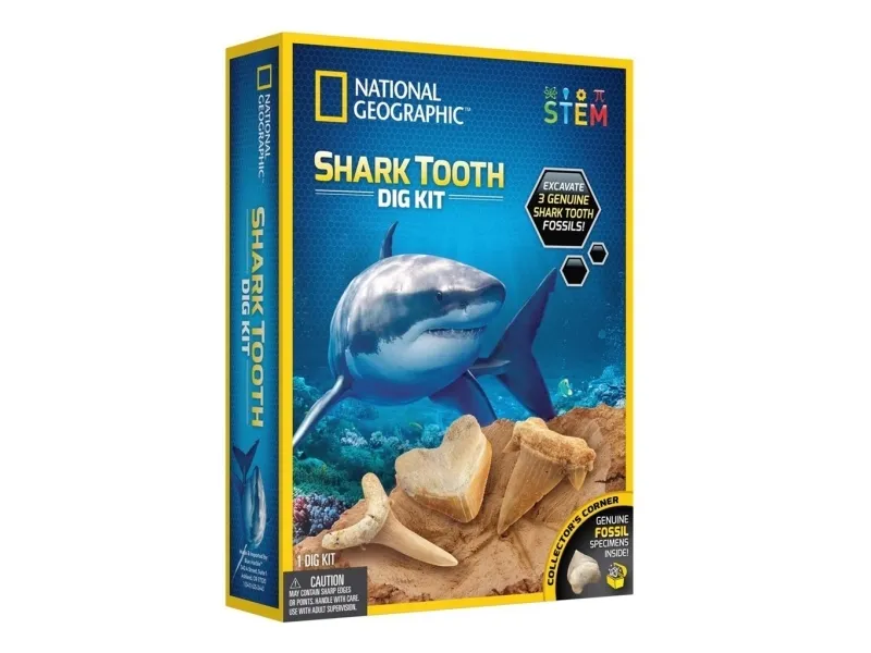 National Geographic Shark Teeth Dig Kit