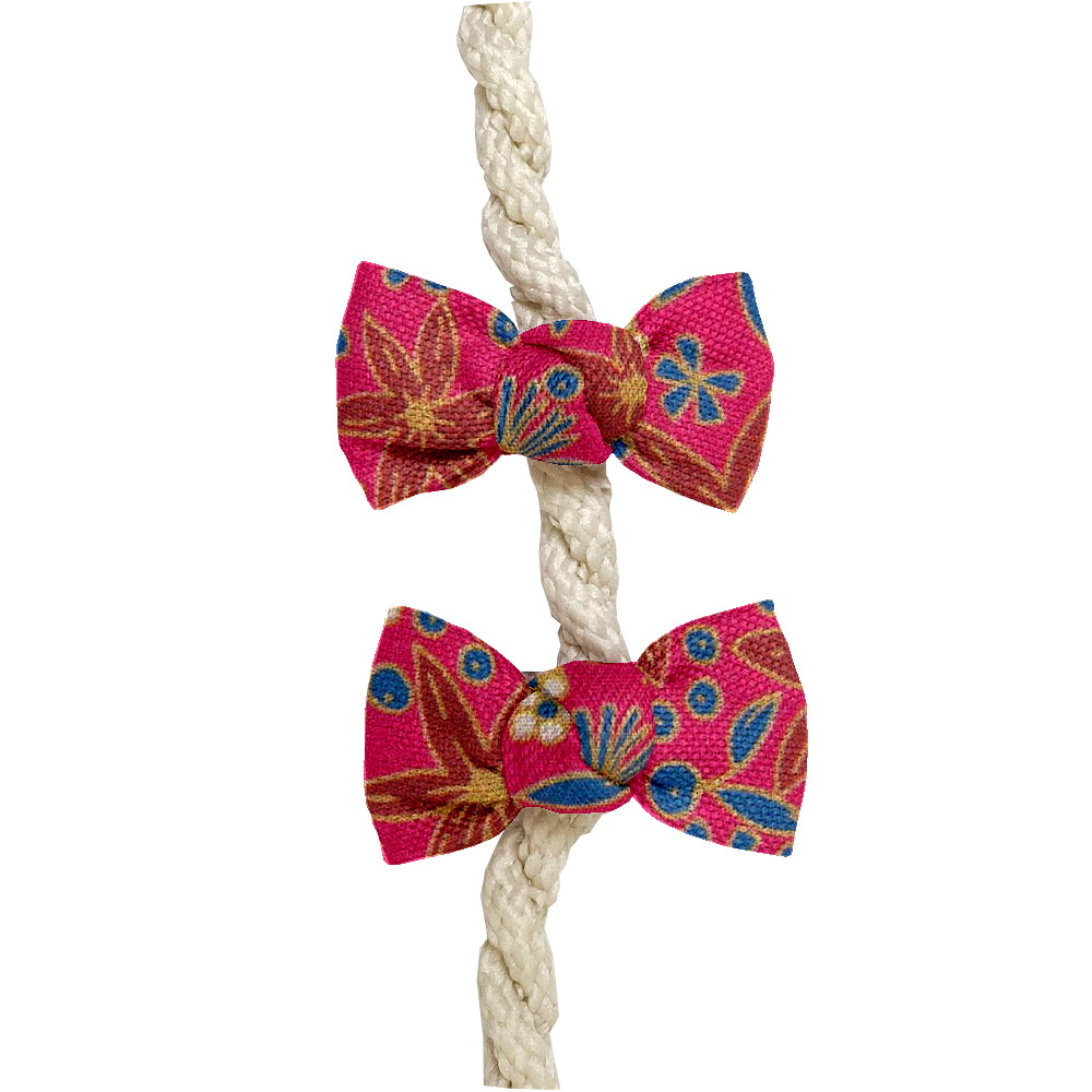 Barrettes Clic-Clac Petits Noeuds Badiane Framboise