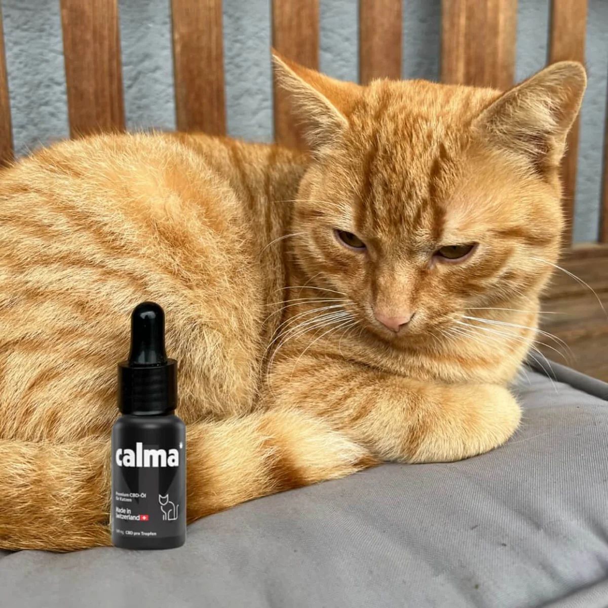 CALMA CBD Öl für Katzen