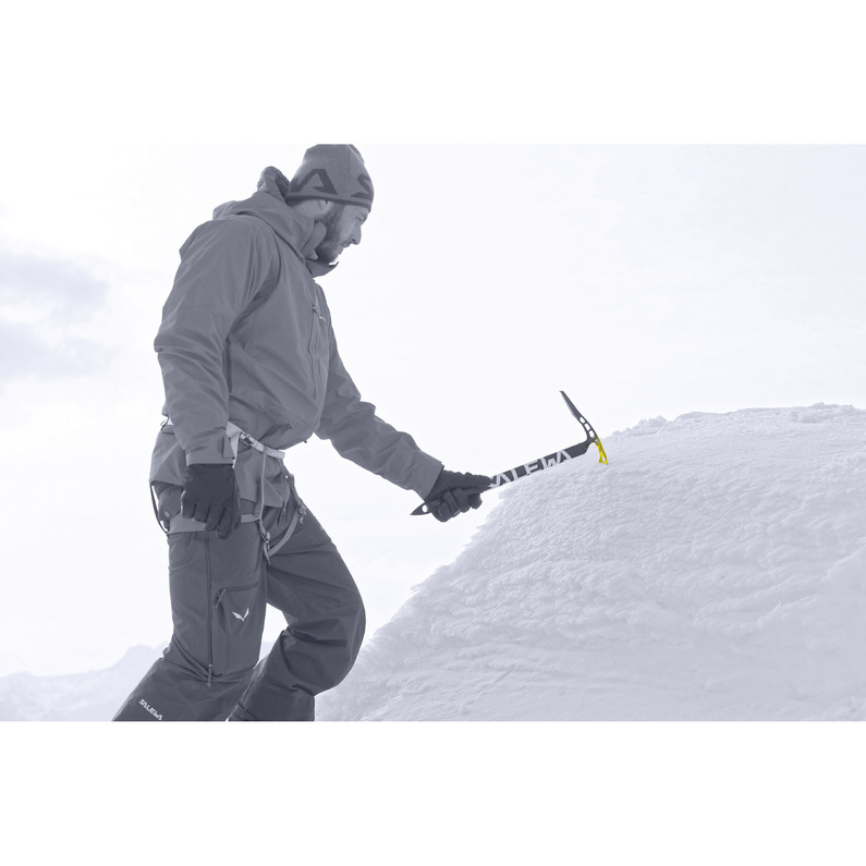 Salewa Alpin-X Eispickel