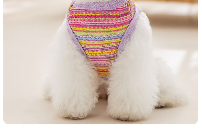 Cissilli - Gestreepte Pet Top