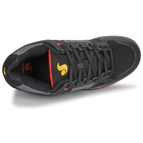 DVS - CELSIUS Gris / Negro / Rojo