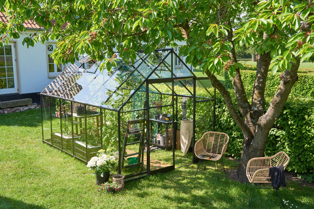 Halls Qube 812 - Tuinkas - zwart - 246x261x385 cm - Veiligheidsglas