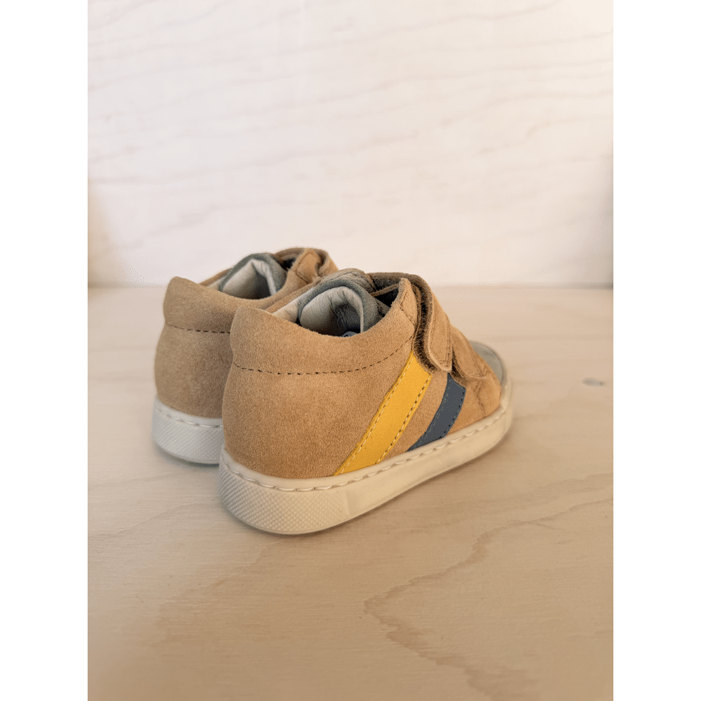 FALCOTTO - Sneaker met stootneus - Gazer