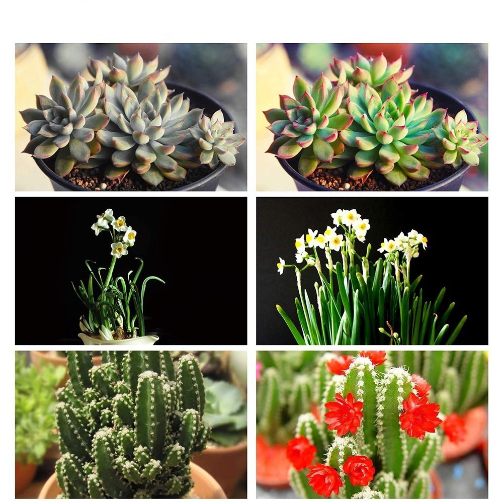 60-LED's USB Pflanzen Licht Full Spectrum Grow Light Wachstumslicht für Zimmerpflanzen Gewächshaus