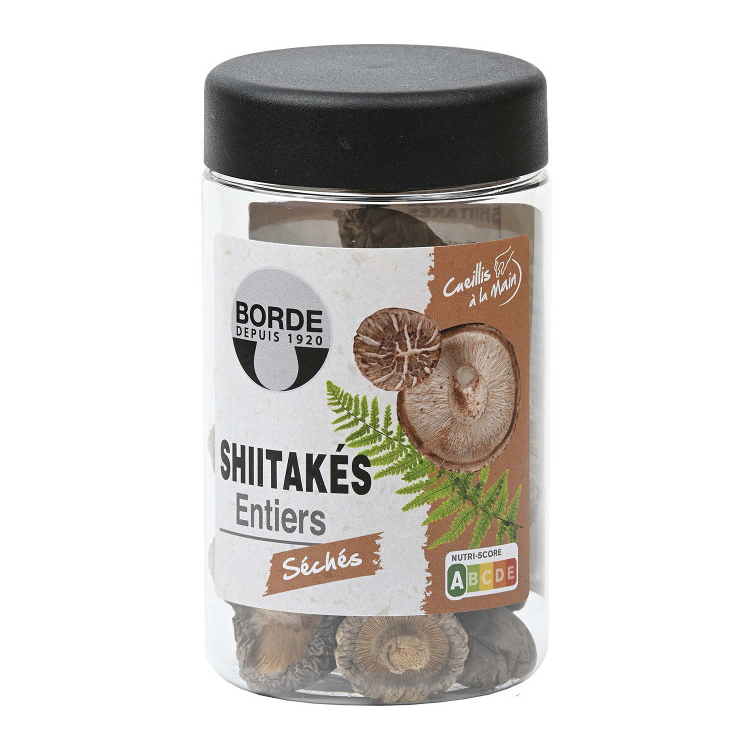 Shiitakes séchés