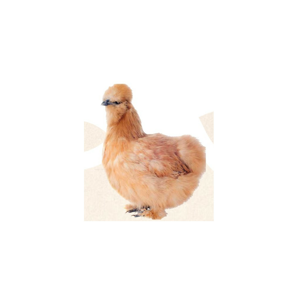 Natur' pic, embellit le plumage pour poules 250 ml.