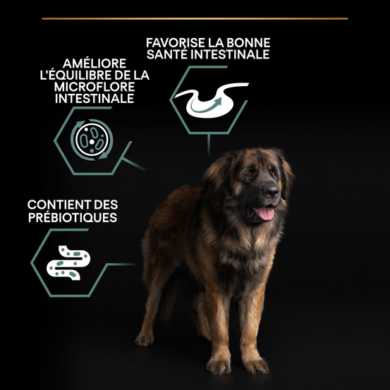 Croquettes chien adulte à l'agneau digestion difficile - 14 kg
