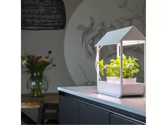 Serre avec lampe de croissance design