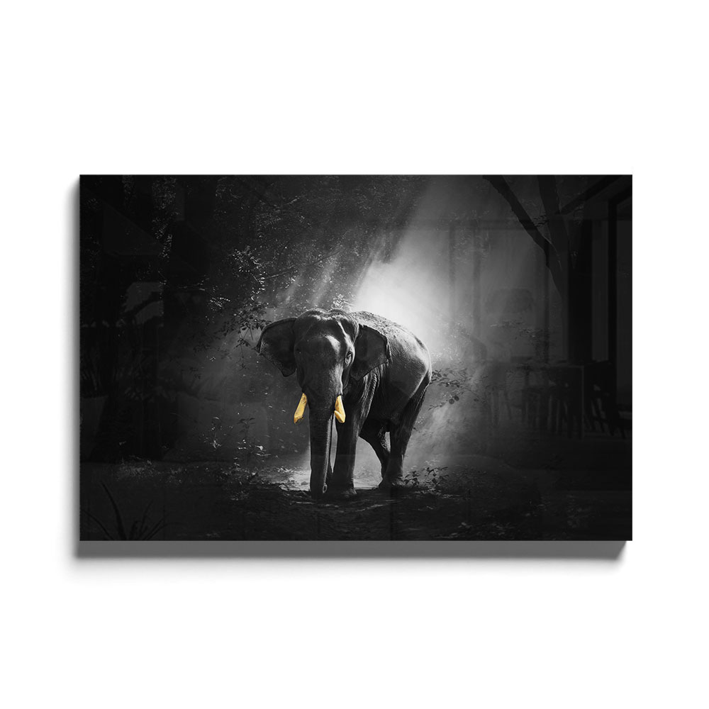 Walljar acrylglas schilderij - Golden Elephant Acrylglas schilderij - 150 x 225 cm