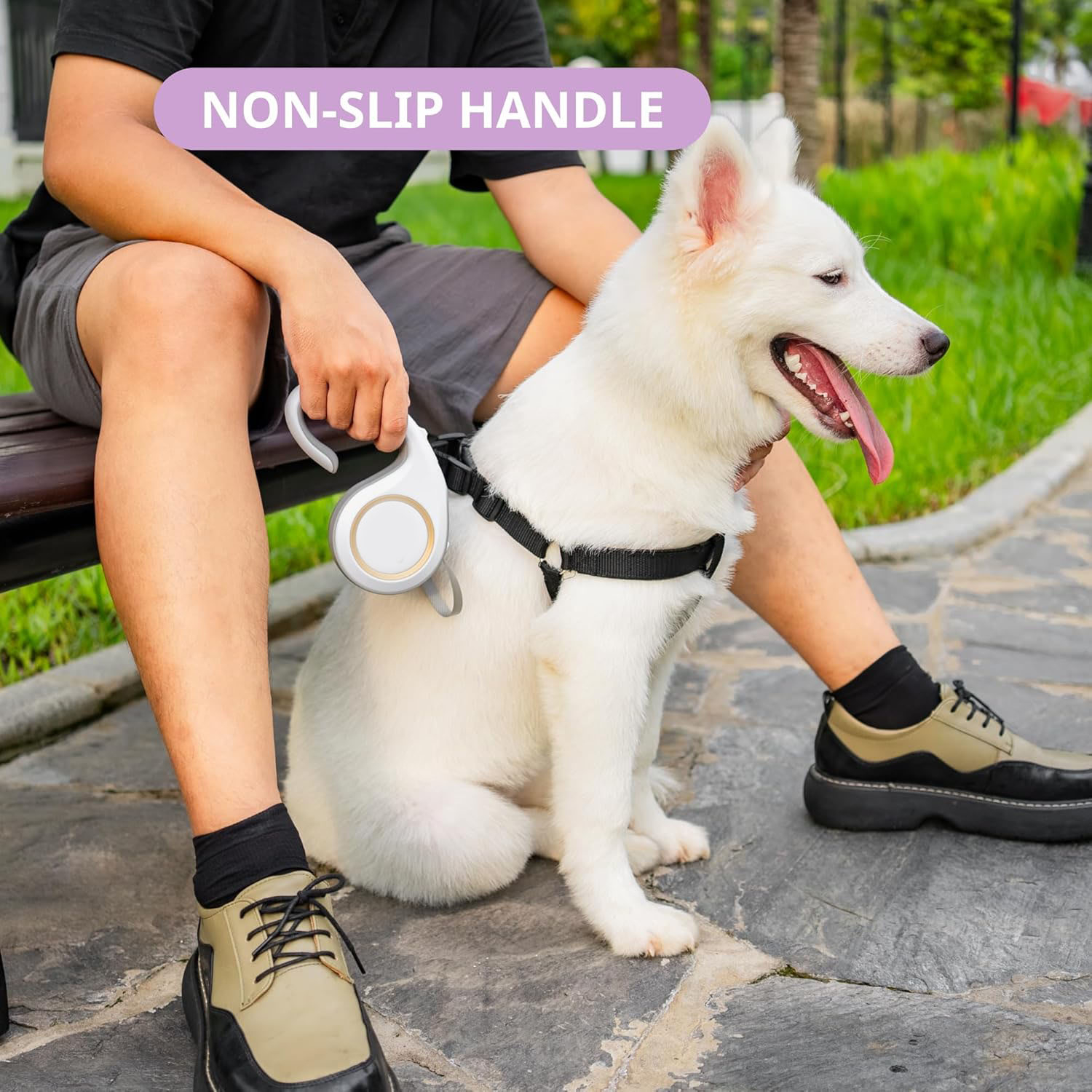 (5m) Einziehbare Hunde Leine Rollleine mit Stopper für Hunde bis 25 kg - Blau