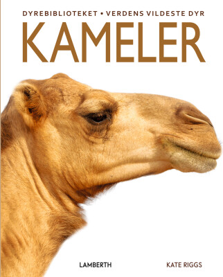 Kameler - Kate Riggs - Bog