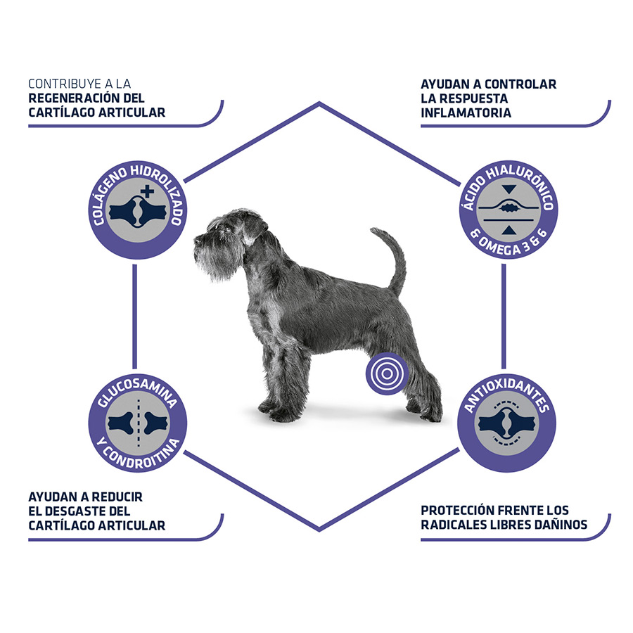 kg de ração Advance Veterinary Diets Articular com calorias reduzidas para cães