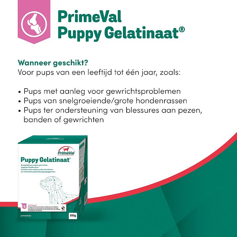 Primeval Puppy Gelatinaat 350 g
