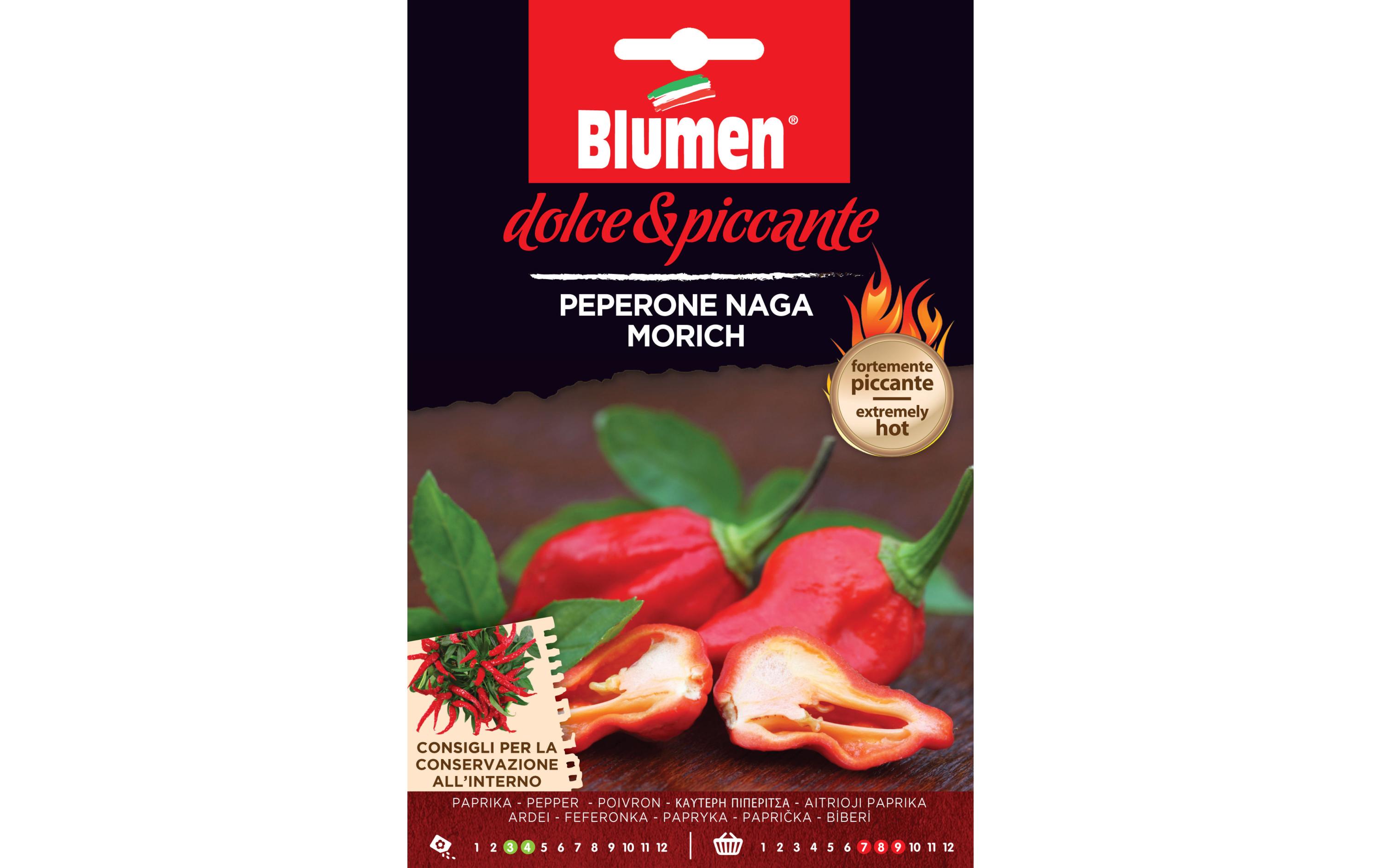 Samen Paprika Naga MorichGemüsesamen