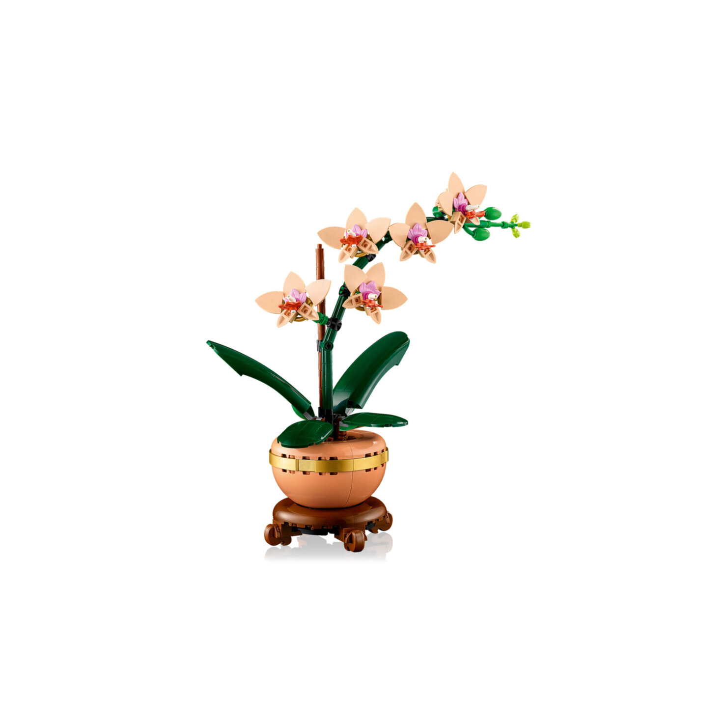 LEGO® Botanicals 10343 Mini-Orchidee ab 18 Jahren