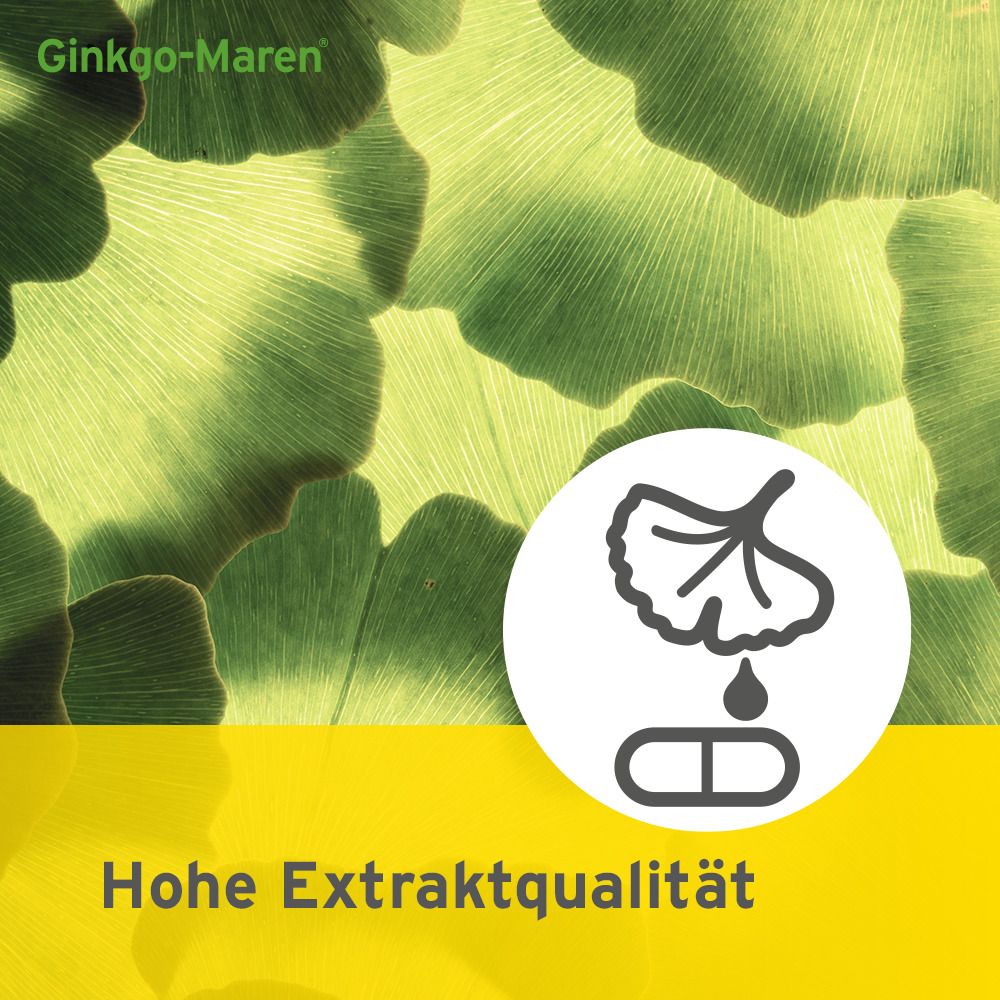 Ginkgo-Maren® 240 mg
