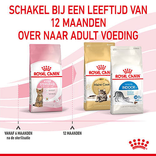 Royal Canin Kitten Sterilised | 3.5 kg | 12901.1