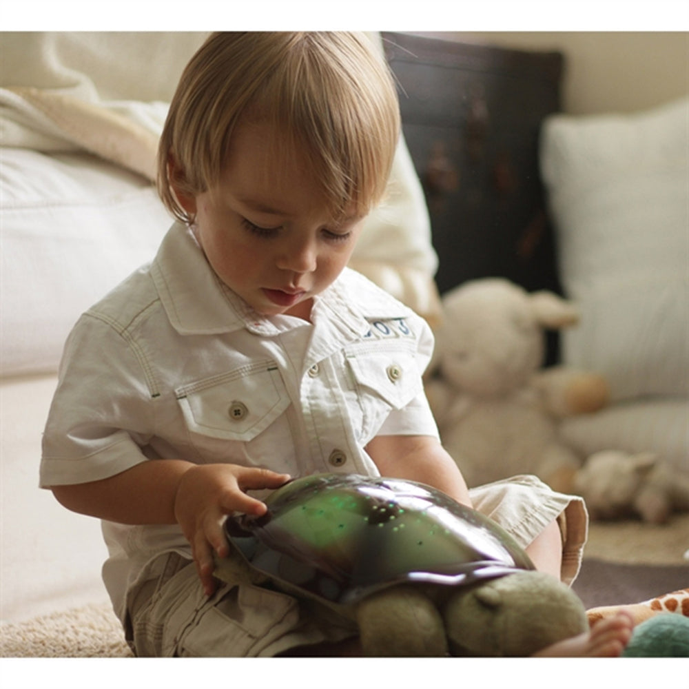 Twilight Turtle Natlampe Mocha - Cloud B