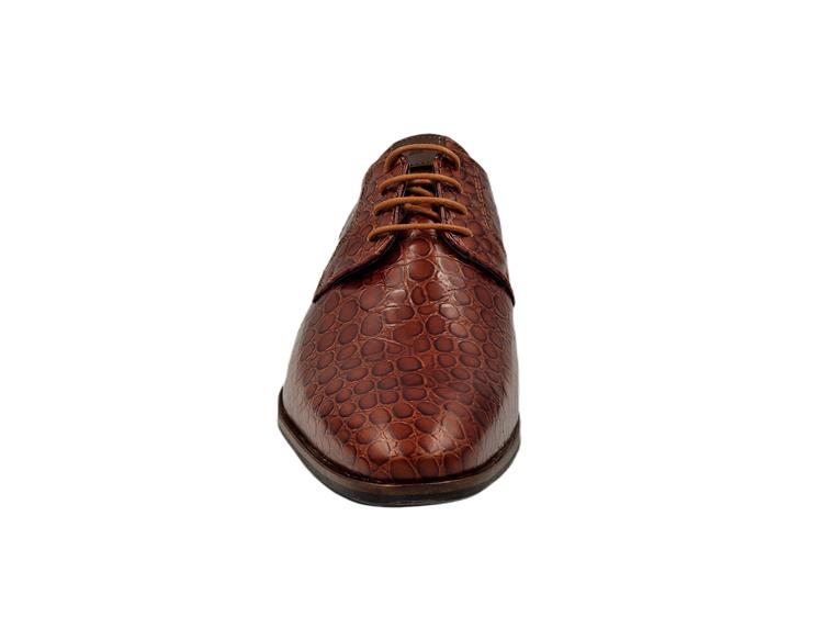 Berkelmans oulton Cognac snake