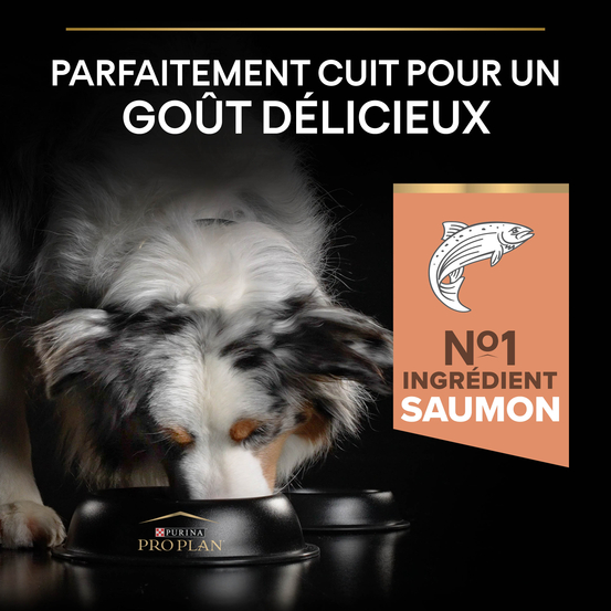 Croquettes chien adulte peau sensible Super Premium - 3 kg