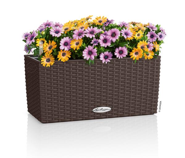 LECHUZA® Kunststoff-Kasten Balconera Cottage,