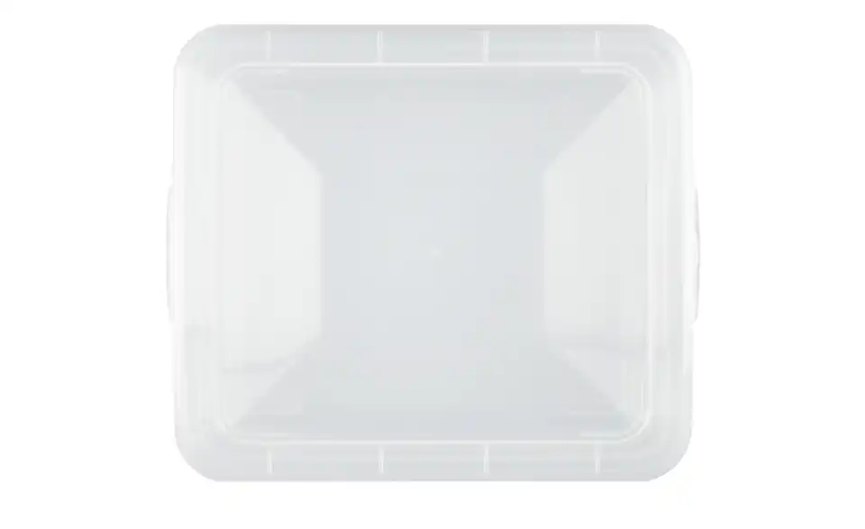 Rotho Aufbewahrungsbox mit Deckel 19 cm