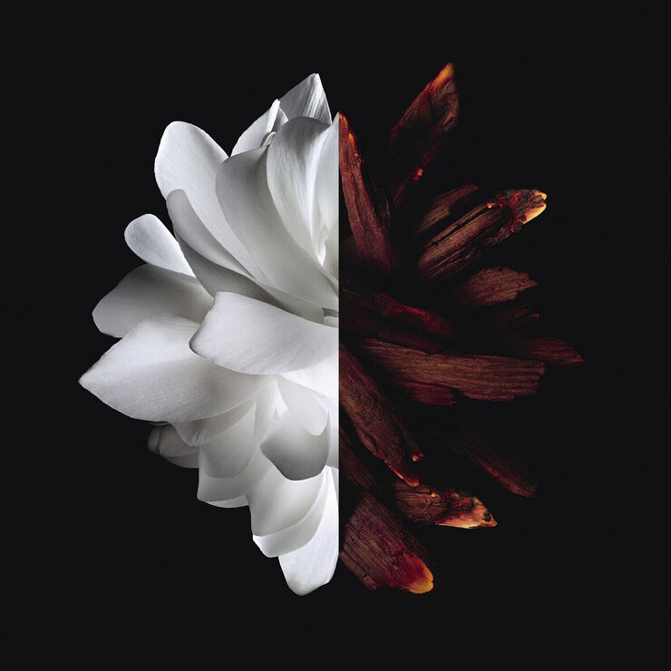 Givenchy Givenchy L'Interdit rouge Eau de parfum