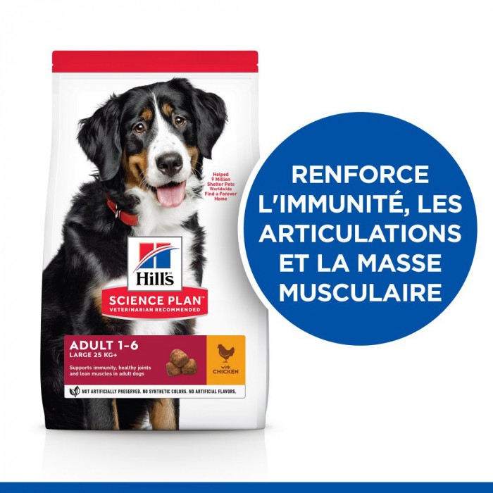 HILL'S Science Plan Large Adult au Poulet - Croquettes pour chien
