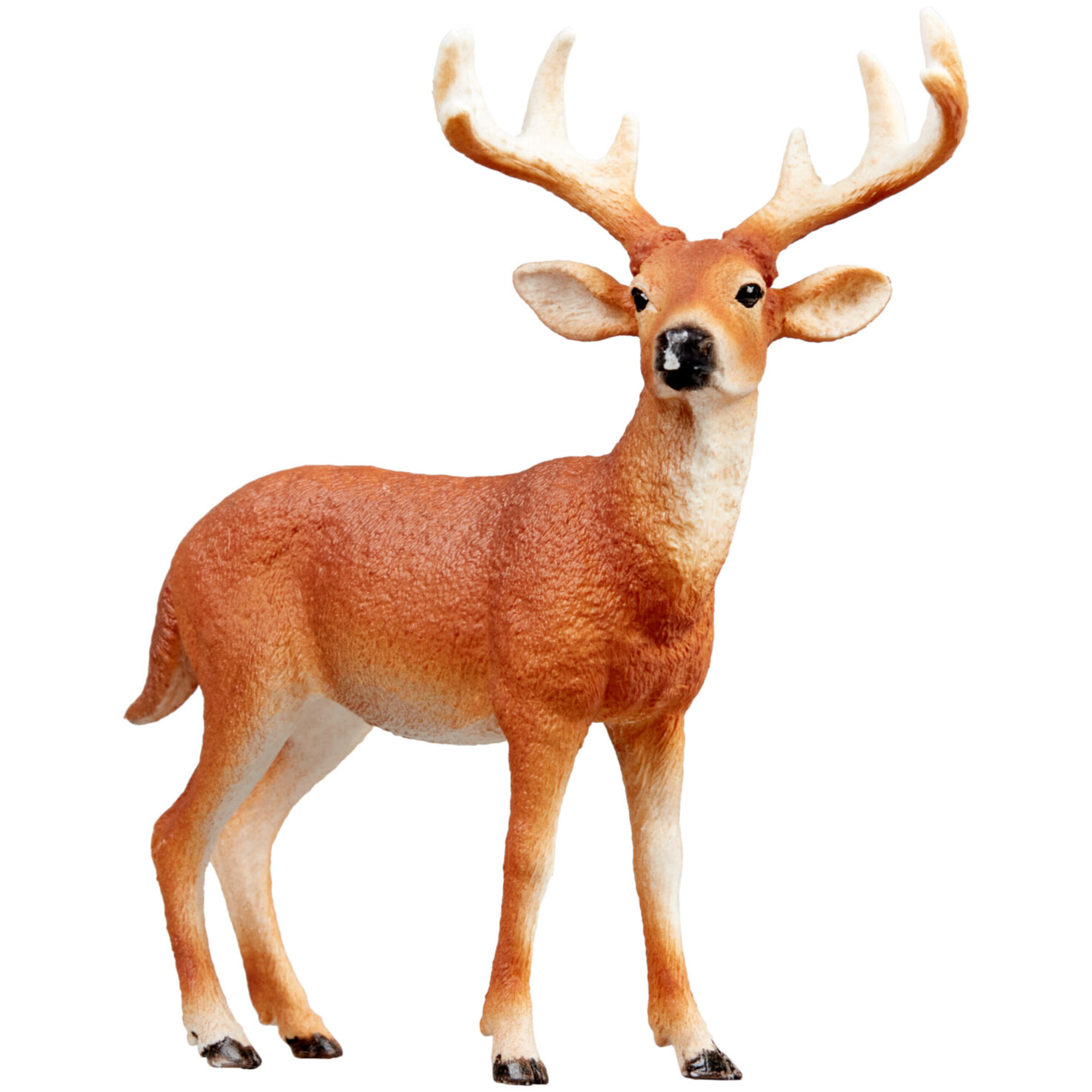 schleich WILD LIFE 14818 Weißwedelhirsch