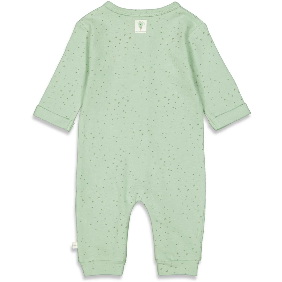 Feetje Overall Ice Ice Baby Minze