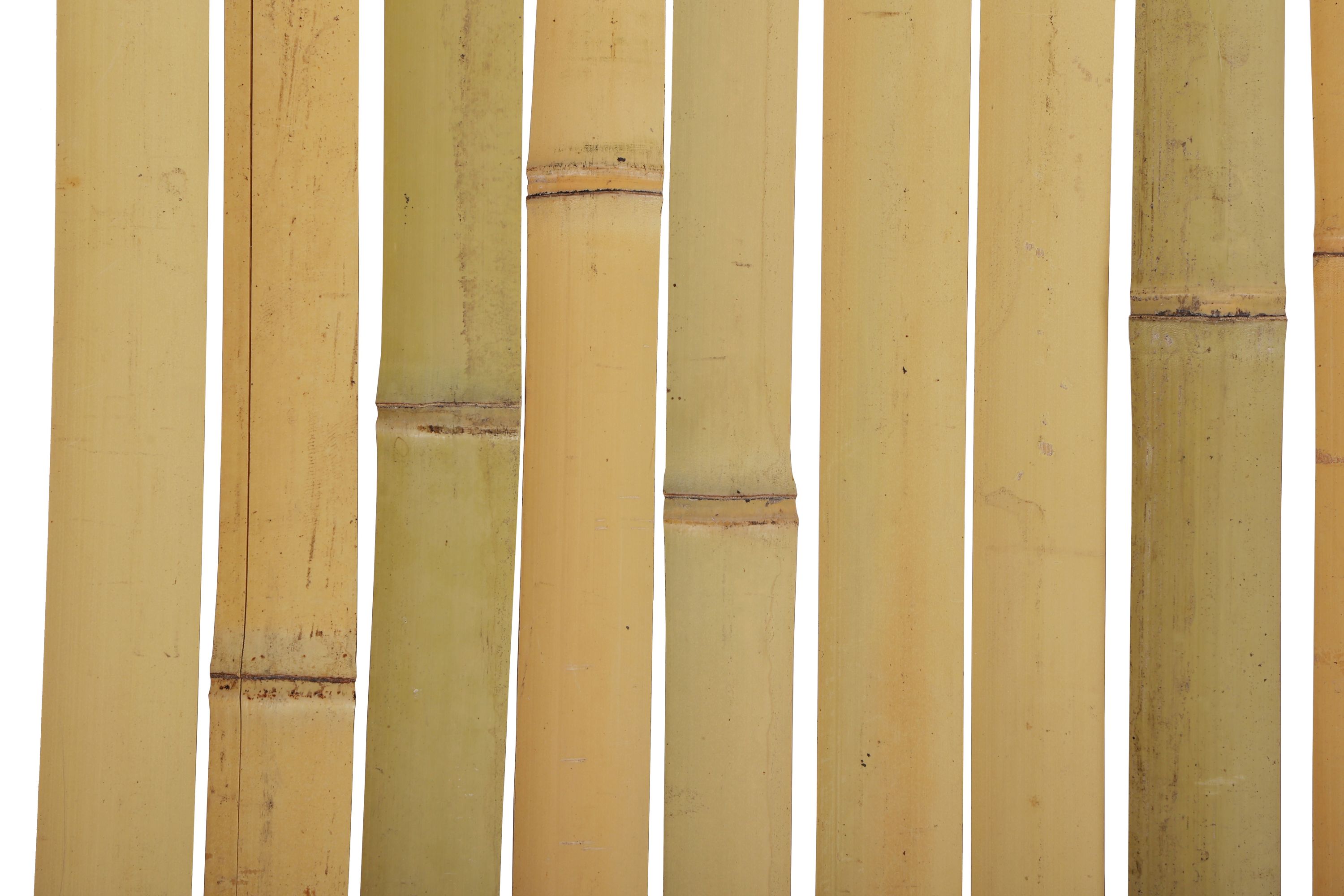 Sichtschutzmatte Bambus 500 x 150 cm