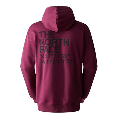Sweatshirt à capuche homme Coordinates THE NORTH FACE
