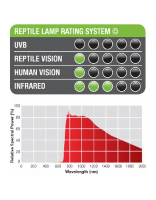 Exo Terra Night Heat Lamp Maanlicht - Verlichting - 15 Watt T10