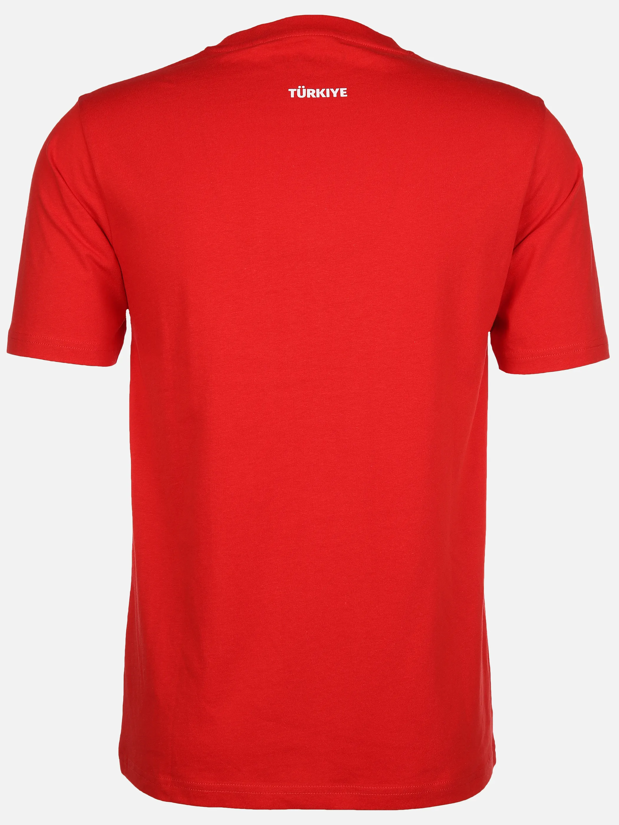 Damen/Herren T-Shirtmit Länderfahne Fussball EM24